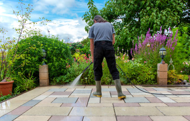 Best Animal Enclosure Cleaning  in Holtsville, NY
